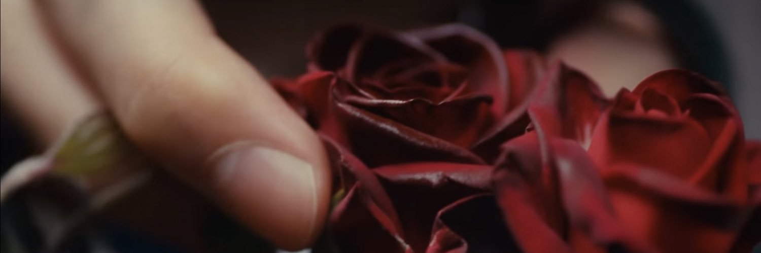 Nessyssary's profile banner image