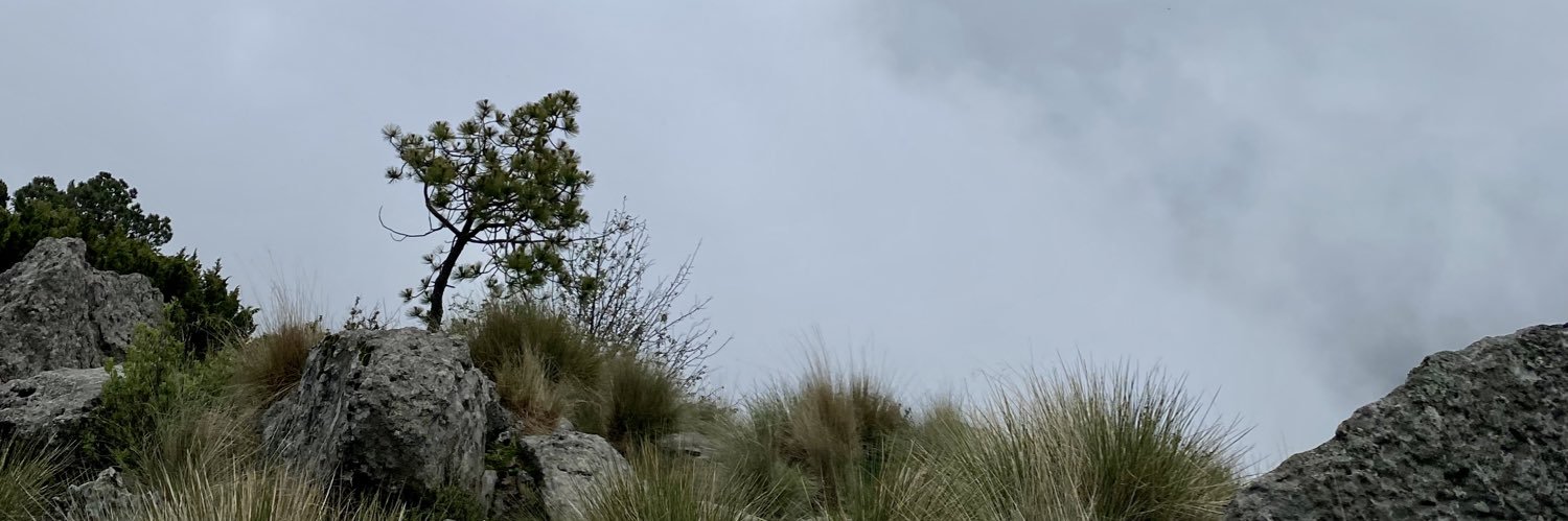 fglezp's profile banner image