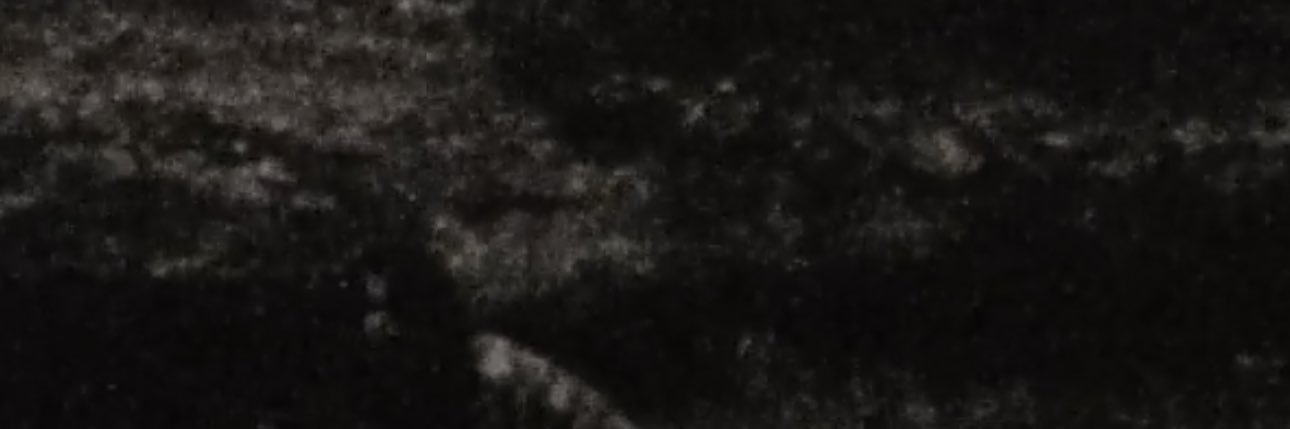 Stepephon's profile banner image