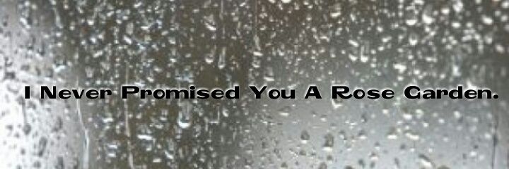 solmarena_osv's profile banner image