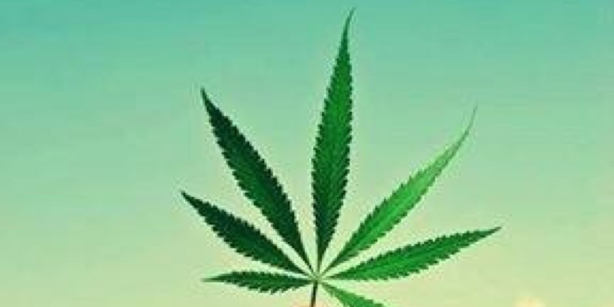 ILoveWeed_Daily's profile banner image