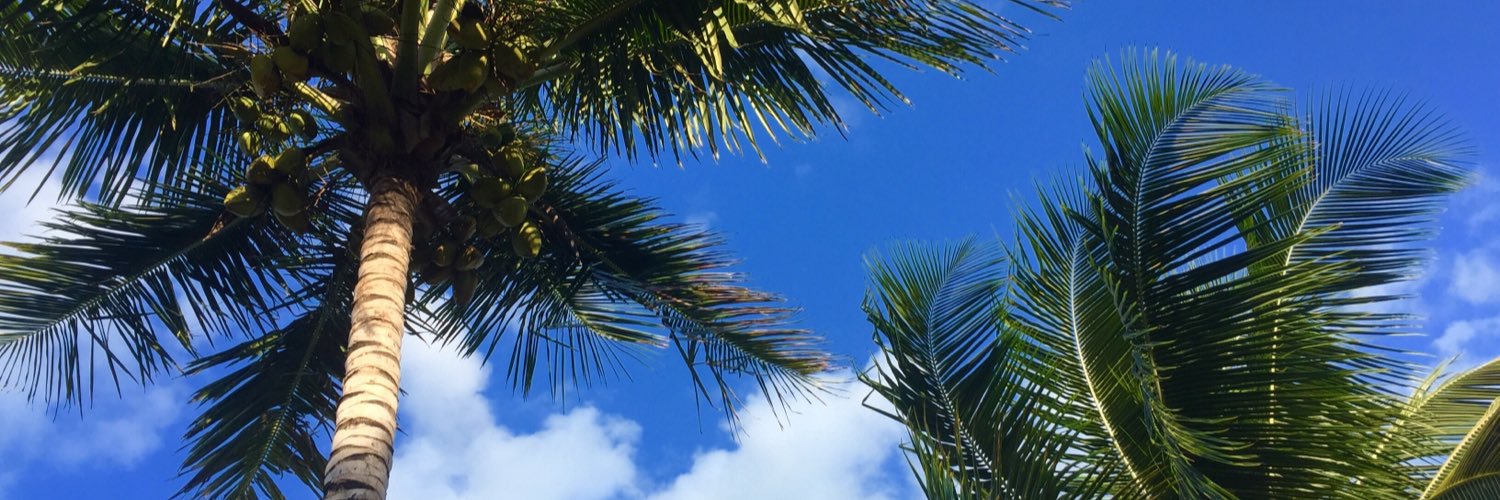holdentome's profile banner image