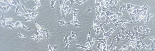 RiccardoGuidi87 Profile Banner