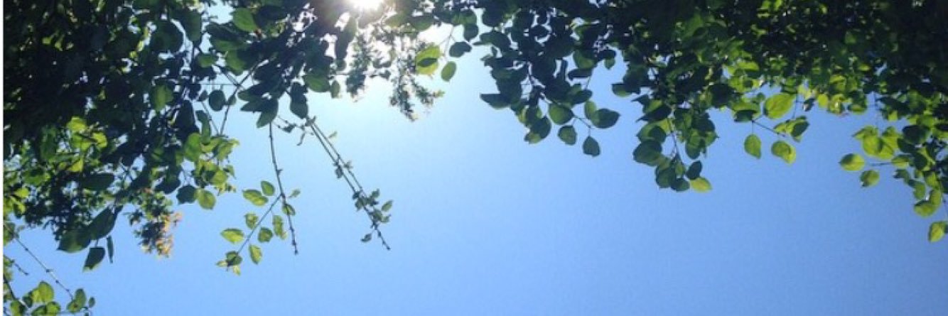 righetti_greta's profile banner image