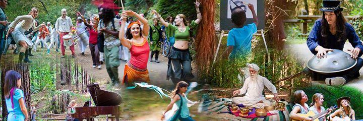 artinnature's profile banner image