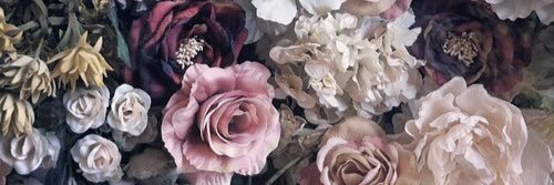 JasmineRiegert's profile banner image