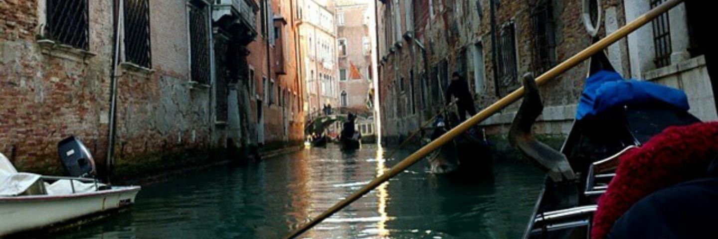 AlexandriaMore9's profile banner image