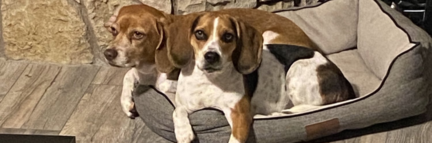 druethomp's profile banner image