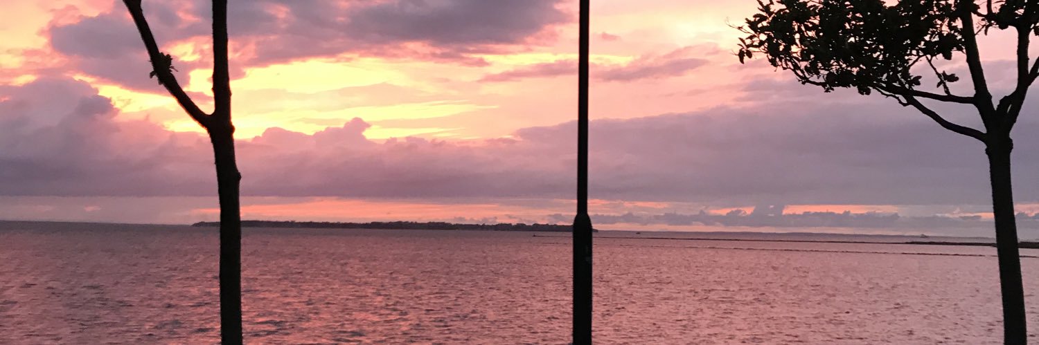 EllanAlvesson's profile banner image