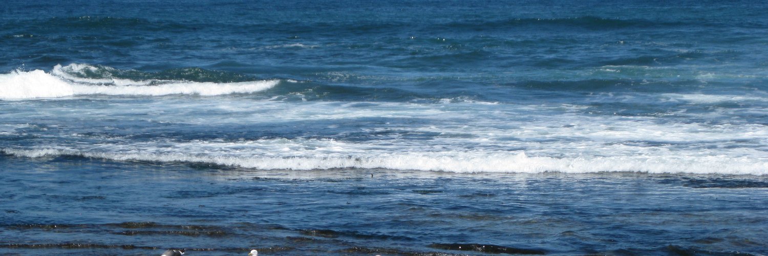 Allison Jackson🇺🇦 banner