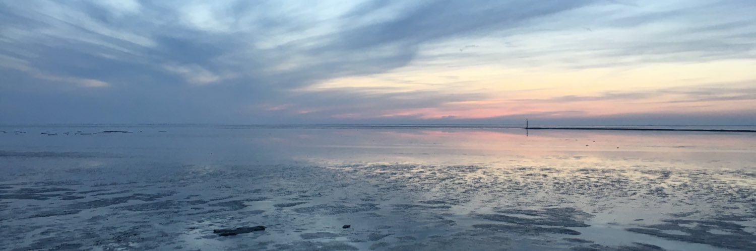 bie_ste's profile banner image