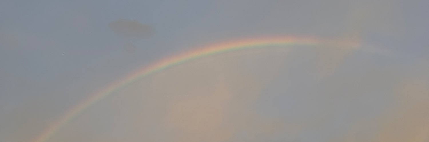 floriyannello's profile banner image