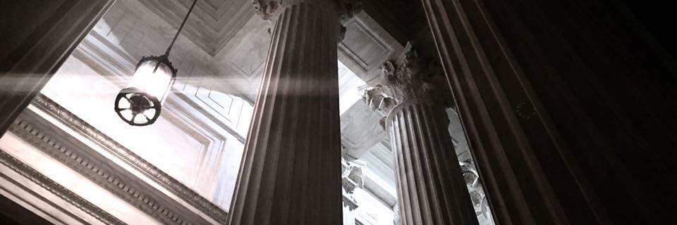 Rachel del Guidice banner