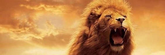 FDangelo44's profile banner image