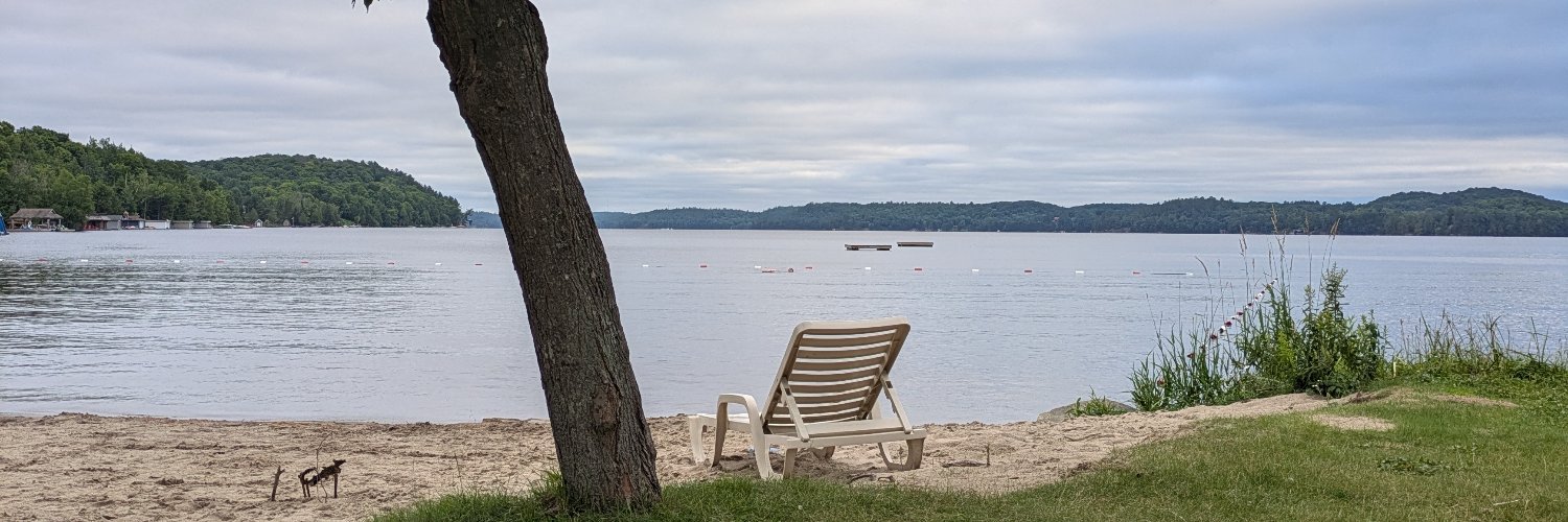 Steph Bee 🇨🇦 banner