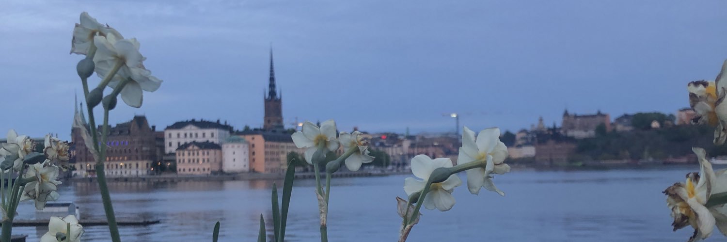 RubyMRojas's profile banner image