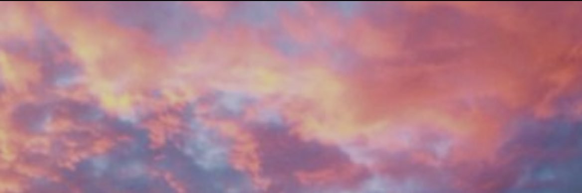 Abbey Nesmith banner