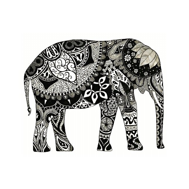 PumlaTwala's profile banner image
