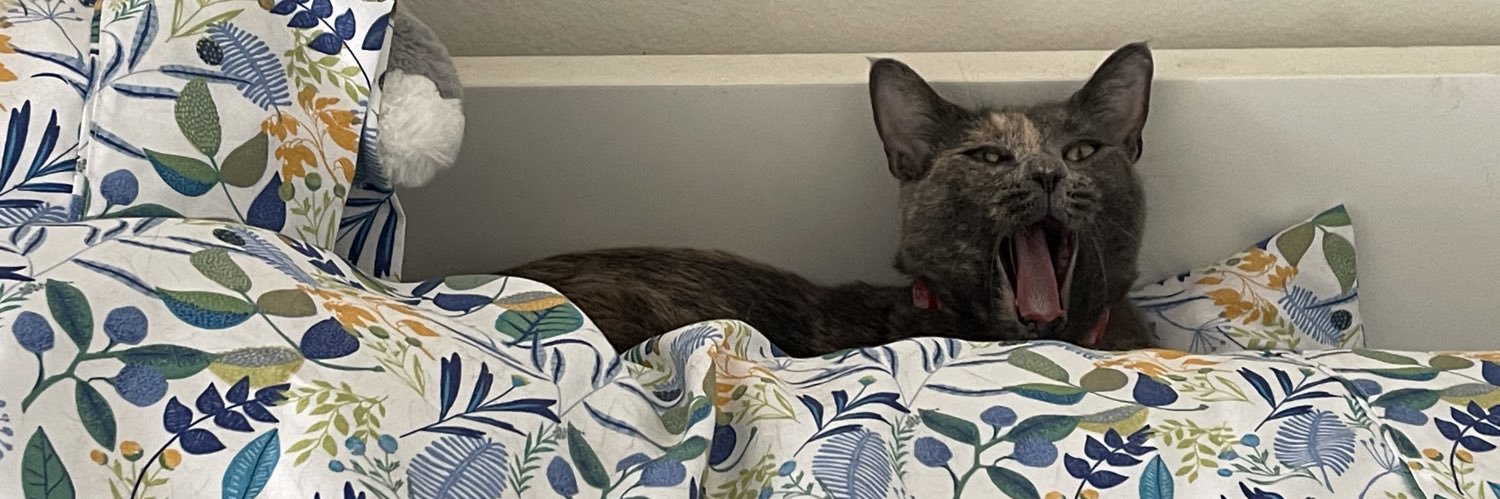 LilChepi's profile banner image
