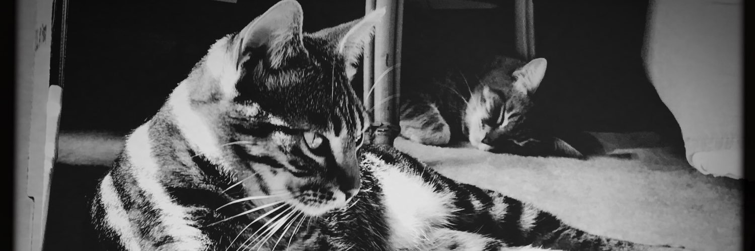 nixv13's profile banner image