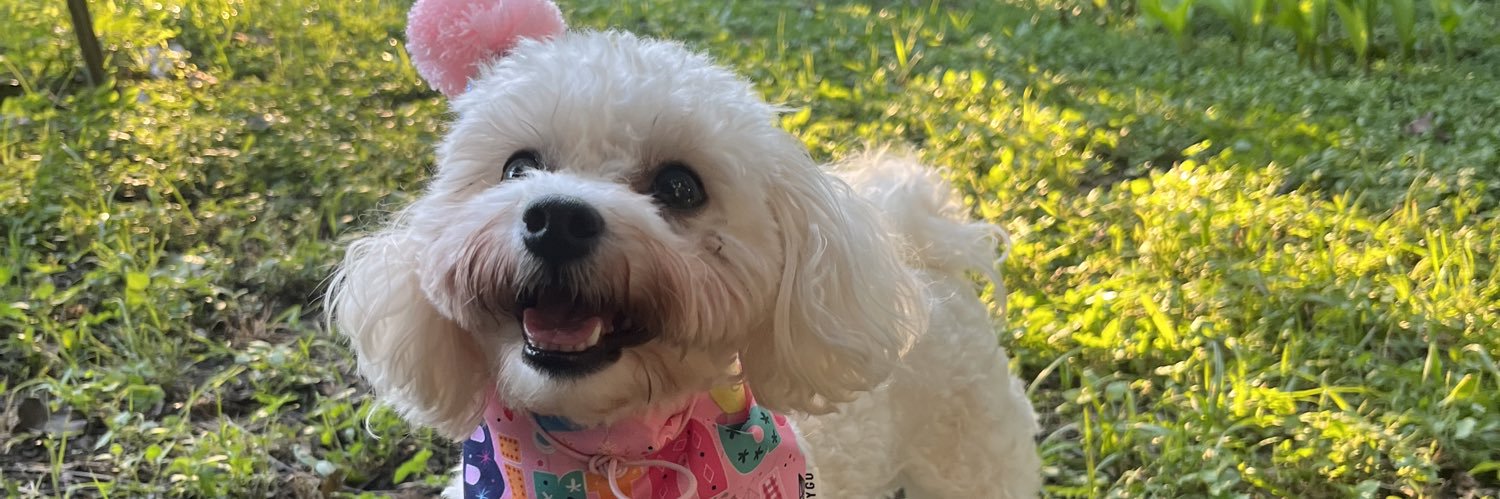 DAIZY____'s profile banner image