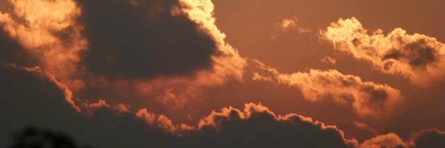 rosoria's profile banner image
