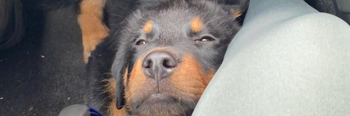 _dennirussell's profile banner image