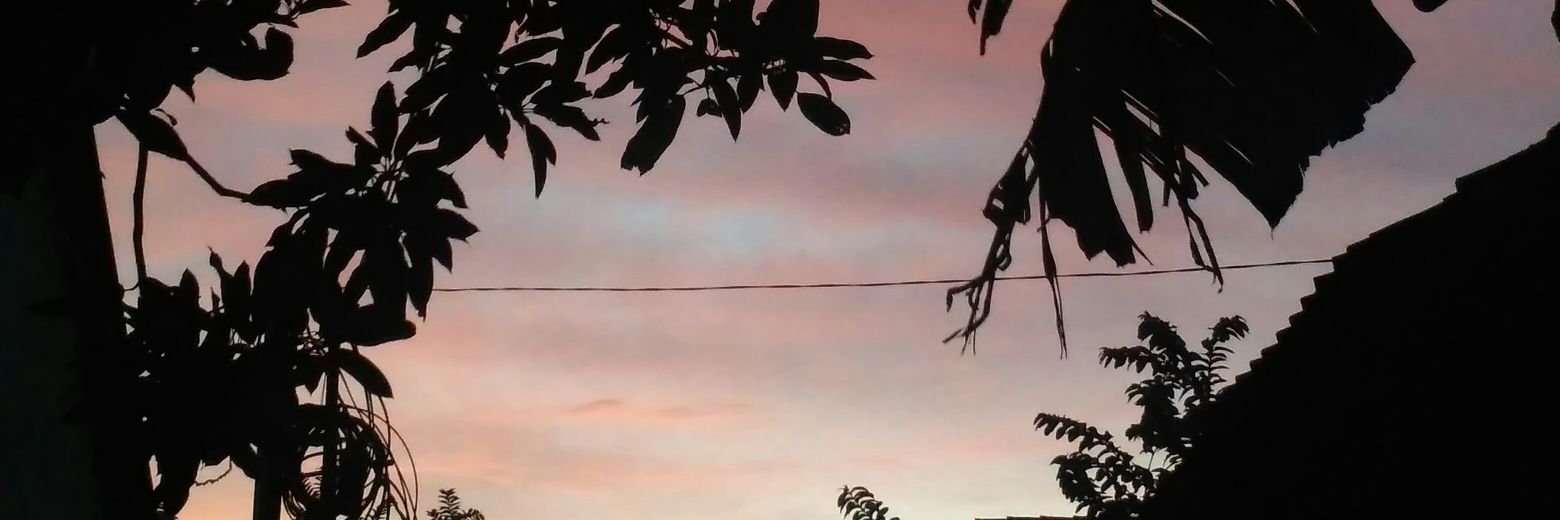 emmpittt's profile banner image