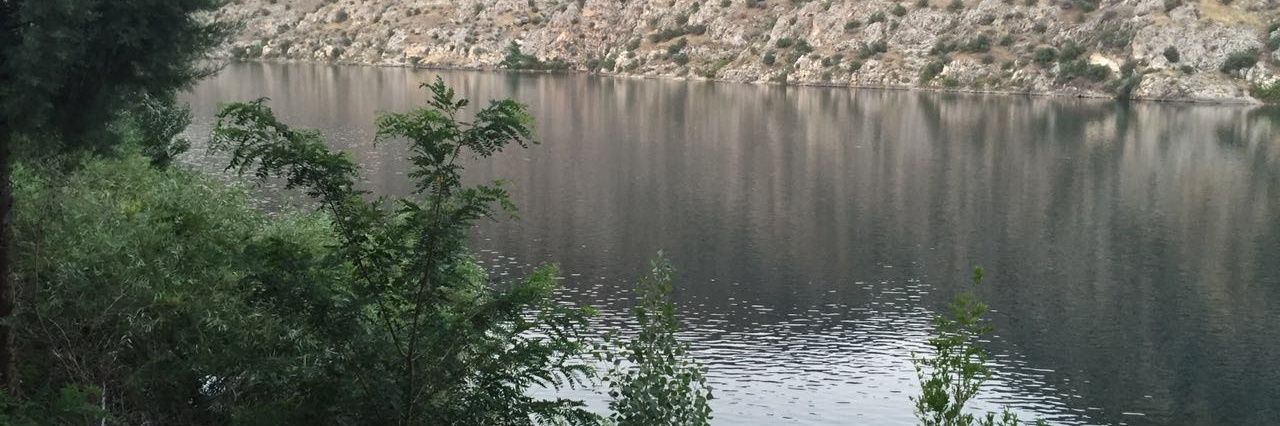 gmzgnd's profile banner image