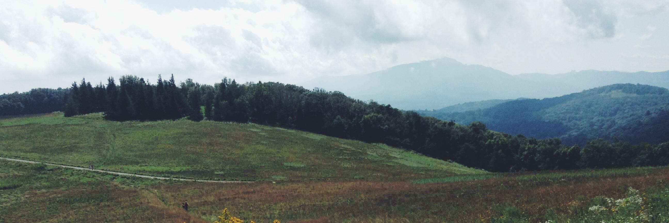 amanda_herbert's profile banner image