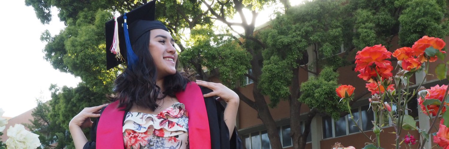 Roaaccch's profile banner image