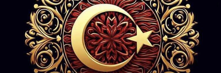 mchityavuz's profile banner image
