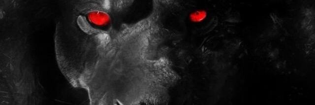leon76r's profile banner image
