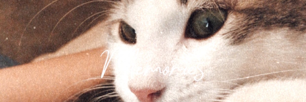 AnaFlorCruuz's profile banner image