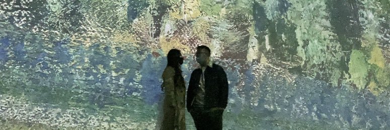 vrselle's profile banner image