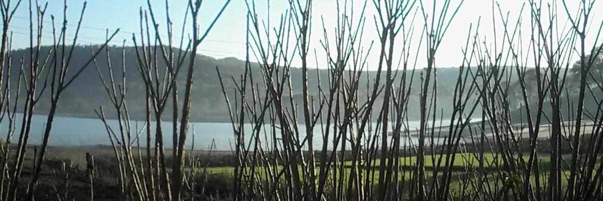 ShantanuAgraw12's profile banner image