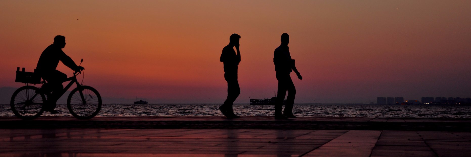 msevdim's profile banner image
