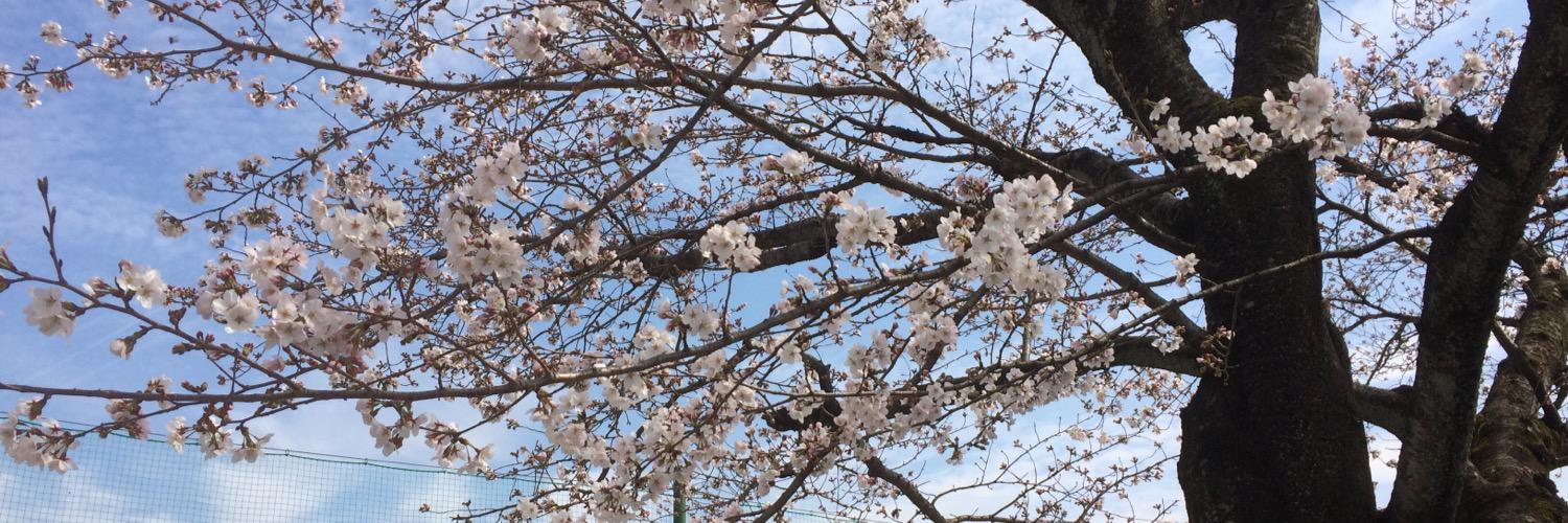 hitori0528's profile banner image