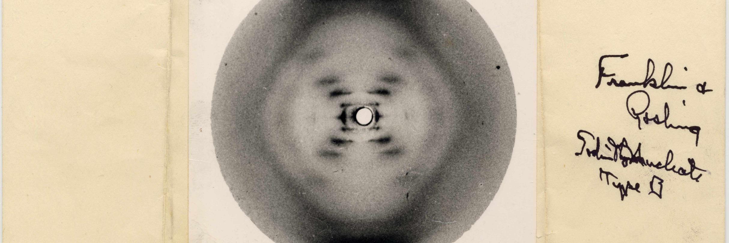 alan alan alan banner