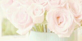 samarnazeh's profile banner image