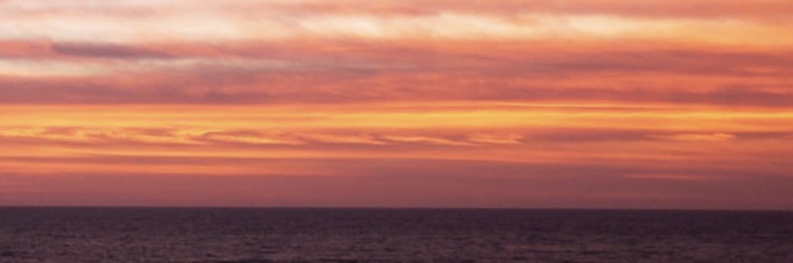 pauchabrand's profile banner image