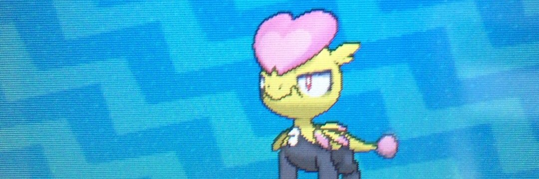 cppll_a's profile banner image