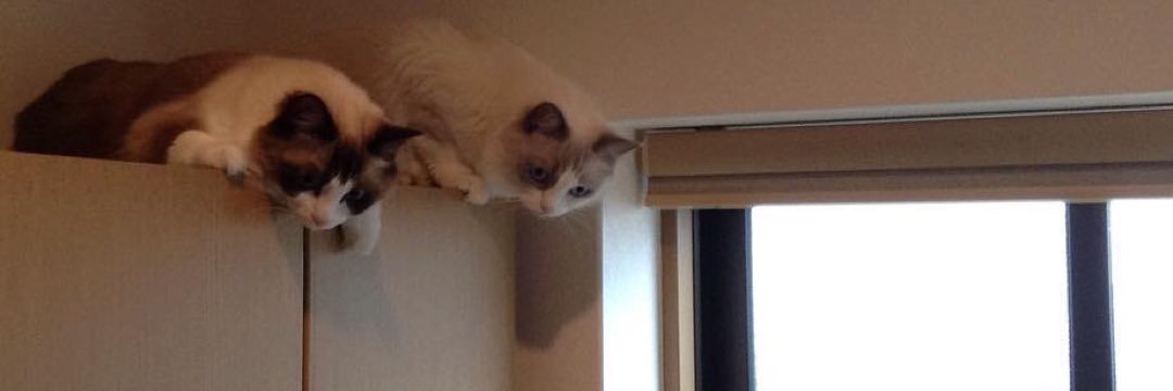 るる＆らら banner