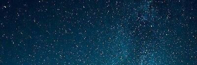 Nelly Melendez banner
