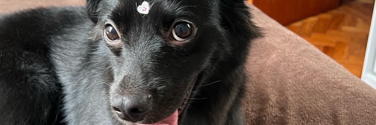 preta e patrícia 🌪️⚡️ banner