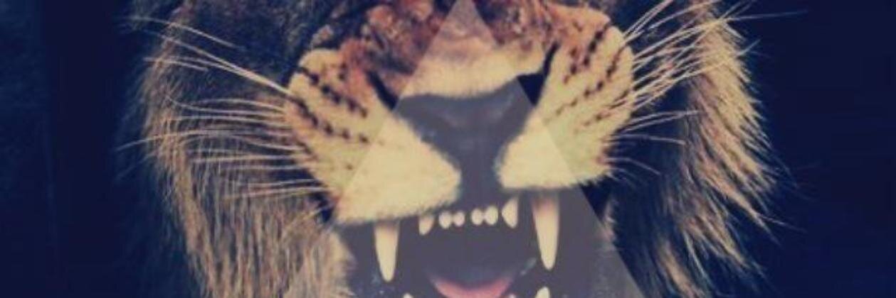 SebastianSS1's profile banner image