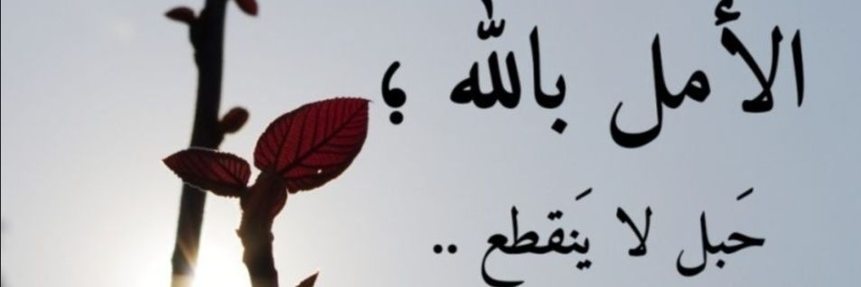 mfmf11e's profile banner image