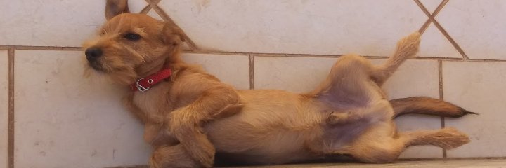 _brendabrn's profile banner image