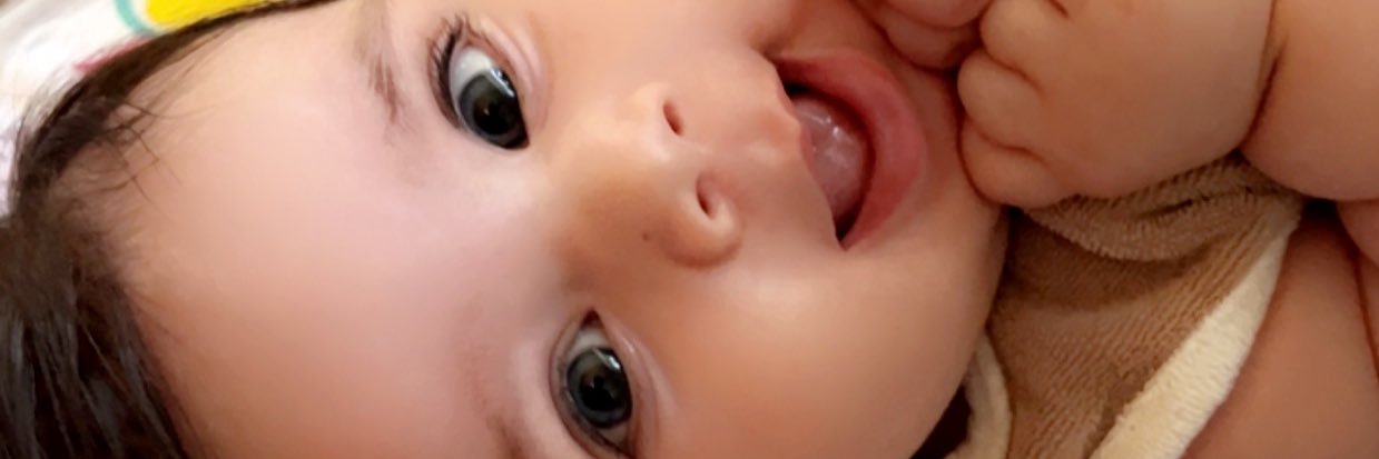 liltortorr's profile banner image