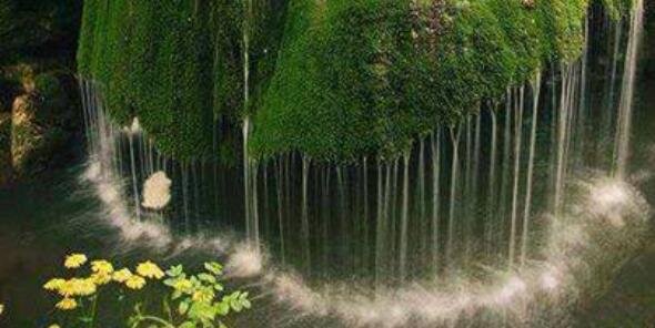 LoveNature16's profile banner image